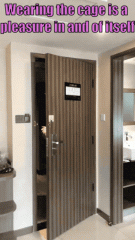 SissyCaptions0001074