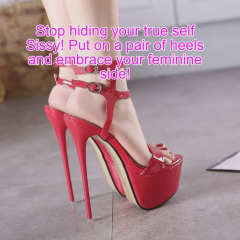 SissyCaptions0002866