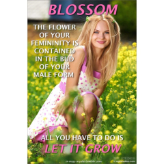 SissyCaptions0003922