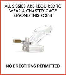 SissyCaptions0004005