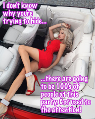 SissyCaptions0005390