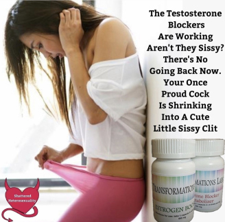 SissyCaptions0005052