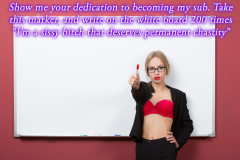 SissyCaptions0005418