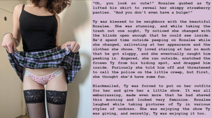 SissyCaptions0006612