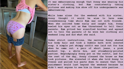 SissyCaptions0006631