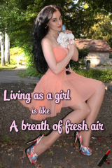 SissyCaptions0006811