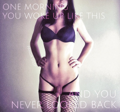 SissyCaptions0007143