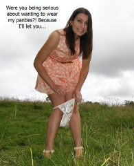 Satin Panty Encouragement1338