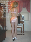 Satin Panty Encouragement2581