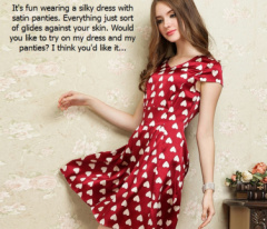 Satin Panty Encouragement8929