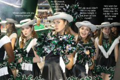 Satin Panty Encouragement10560