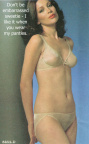 Satin Panty Encouragement14666