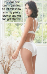 Satin Panty Encouragement16132