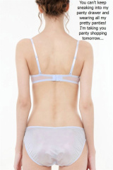 Satin Panty Encouragement16503